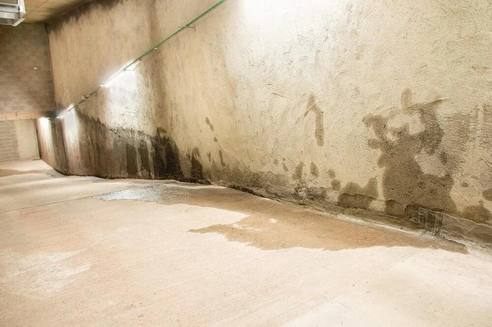 Humedades ocultas: cómo detectar vicios en una vivienda antes de comprarla