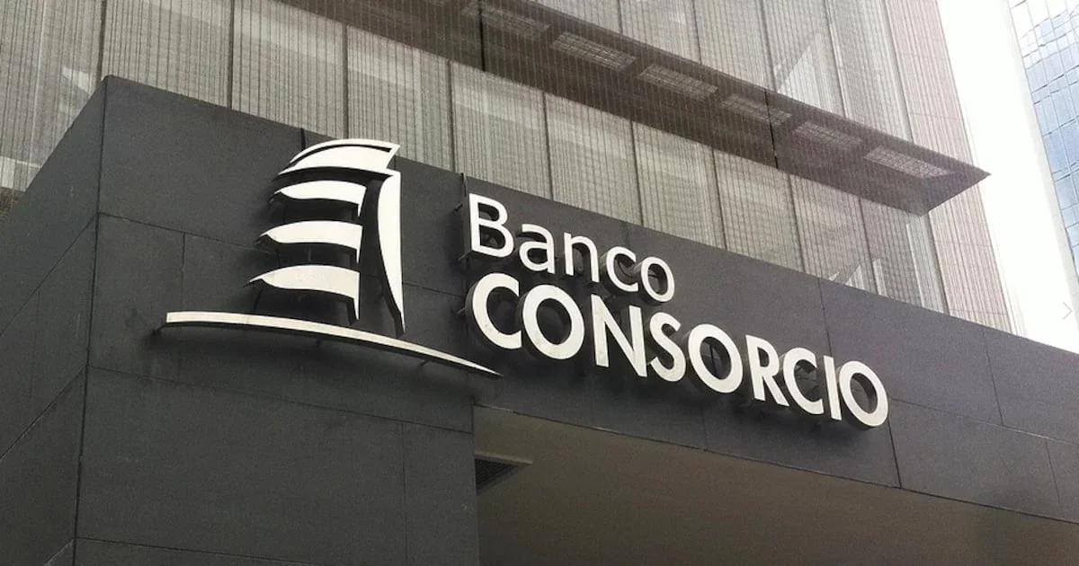 Banco Consorcio solicita quiebra de Inmobiliaria Alta Vista Pucón