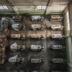 Coberturas Vivas: Un Respiro Vital para Nuestras Ciudades