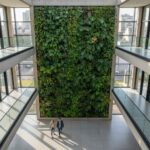 La Ascensión Verde: De Superficie Muda a Ecosistema Interior